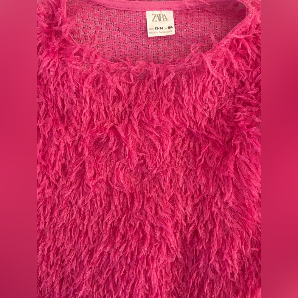 Zara Hot Pink Fuzzy Top